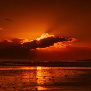 the sun setting over the ocean