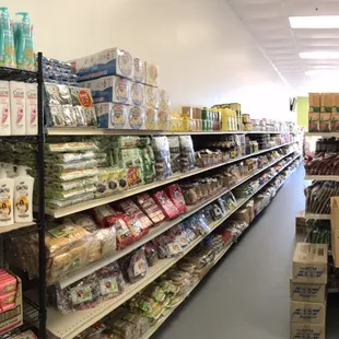 Perspective from the back