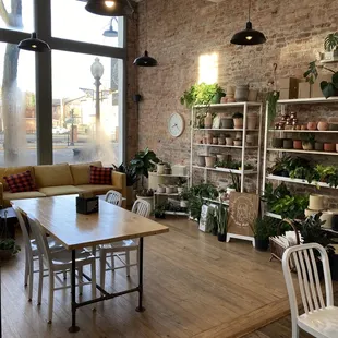a living room with a brick wall and lots of potted plants