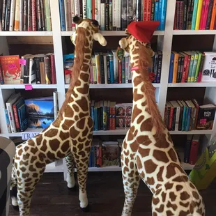 Great Melissa and Doug toy selection.