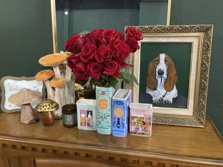 A Novel Idea Bookshop