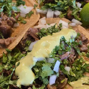 Carnita tacos