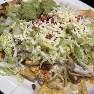 Nachos Deluxe with shredded chicken &amp; ground beef