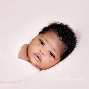 Newborn Portrait Session