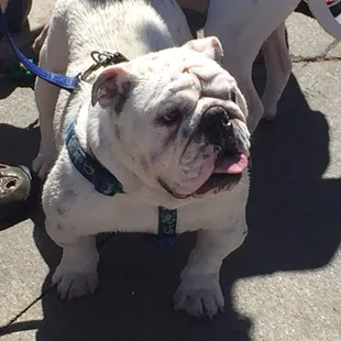 Enjoying the pool day