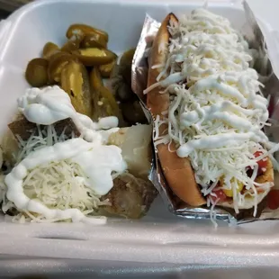 Papis Bacon Wrapped Hot Dog