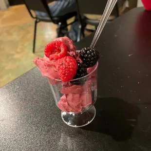 Raspberry Sorbet