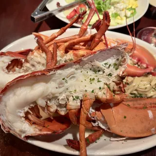 Live Maine Lobster