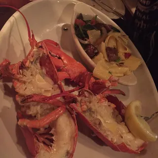 Live Maine Lobster