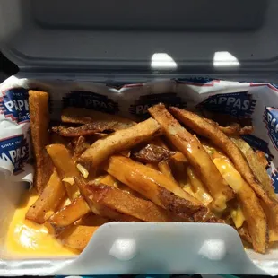 french fries in a styrofoam container