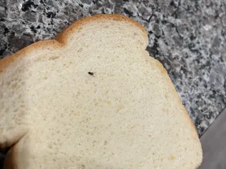 Horace and Dickies Seafood