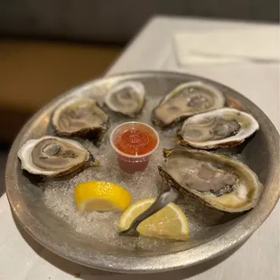 Oysters