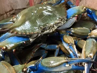 Conrad's Crabs & Seafood Market - Parkville