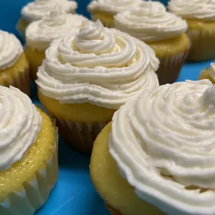Lemon Cupcakes!
