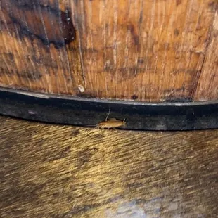 a close up of a piece of wood