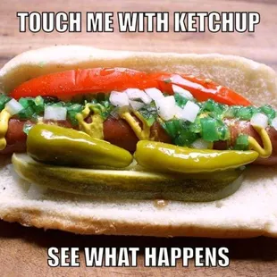 hot dog, hot dogs, sandwich, food