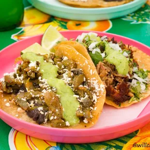 Nopalitos &amp; Carnitas Tacos