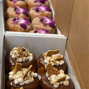 a variety of doughnuts in boxes