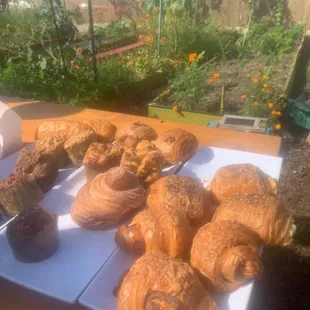 Morning snacks provided at goat yoga