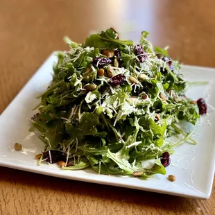 The Fresh Arugula. Organic Californian Arugula, Toasted Pepitas, Dried Cranberries, Mozzarella, &amp; Raspberry Vinaigrette.