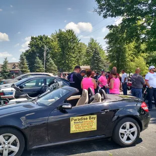 a car with a dog in the driver's seat