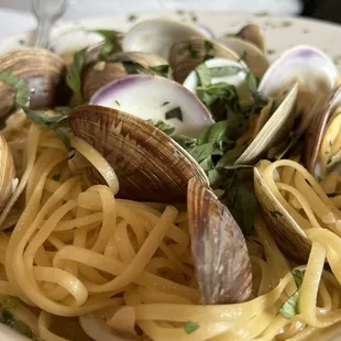 food, pasta dish, pasta
