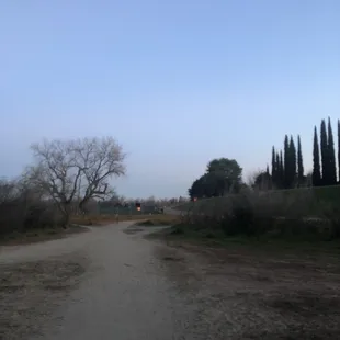 Trail