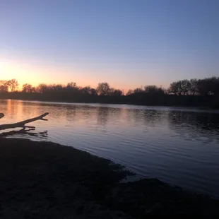 Lake ft huge dead tree.