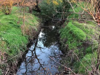 Creekside Nature Area