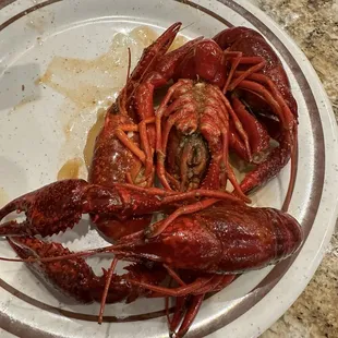 Crawfish