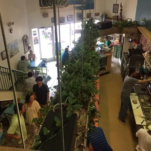 View from the upstair dining.
