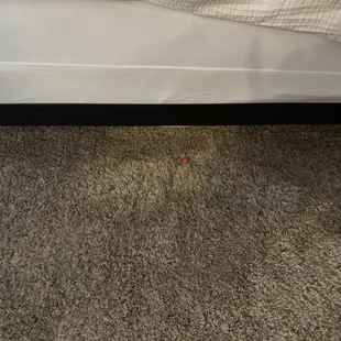 Not sure if they vacuumed as there was a skittle by the bed