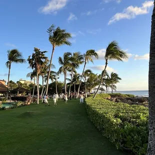 burritos and wraps, outside