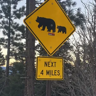 Bear Crossing near Mt Rose Nevada Ski Resort