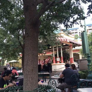 people sitting under a tree