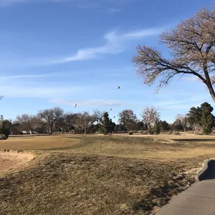 Balloons in the distance.  Between hole 3 &amp; 4. Beautiful winter day for golf.