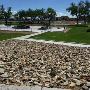 Gonna have a picnic before shane's last game