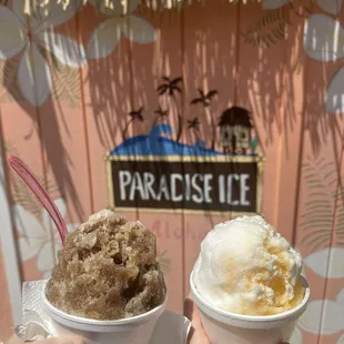 mango coconut + snow cap, coffee flavored w/ ice cream base