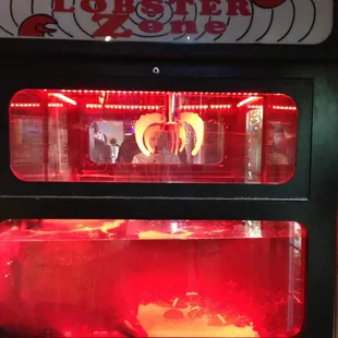 $2 a try. Catch a lobster and they'll cook it for you.