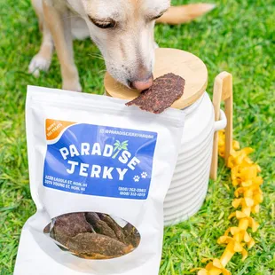 a dog eating a treat out of a bucket