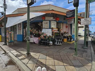 M P Lei Shop