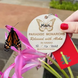 Mina the Monarch after she emerged