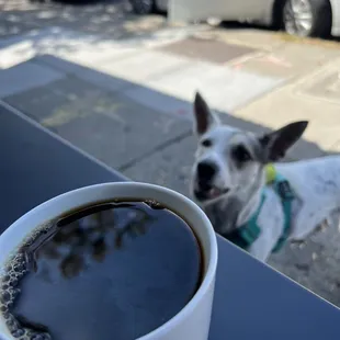 Dog friendly outside !