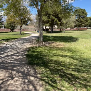 Beautiful day for some exercise