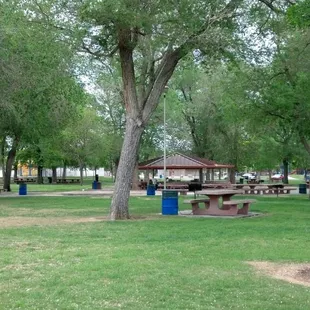 Paradise Park. Tables closest to McLeod.