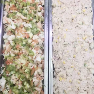 Atun 
Ceviche de tilapia