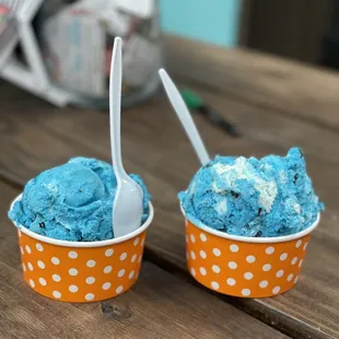 Lil' Blue Panda 11/27/22