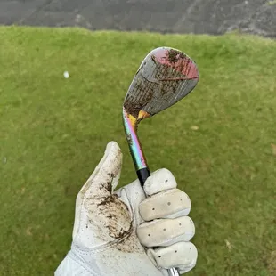 When it rains, it pours. The greens, fairways, and rough seem to be pure green muck.
