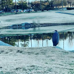 Hole 18