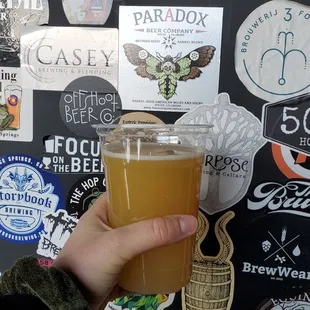Delicious American IPA